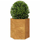 Plantenbakken 2 st zeshoek 46x40x45 cm cortenstaal - AllerleiShop