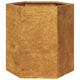 Plantenbakken 2 st zeshoek 46x40x45 cm cortenstaal - AllerleiShop