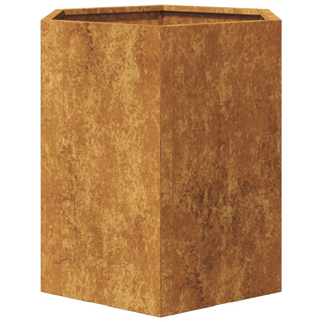 Plantenbakken 2 st zeshoek 46x40x45 cm cortenstaal - AllerleiShop