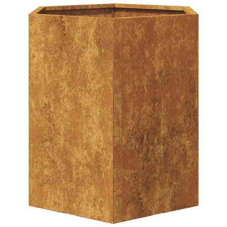 Plantenbakken 2 st zeshoek 46x40x45 cm cortenstaal - AllerleiShop