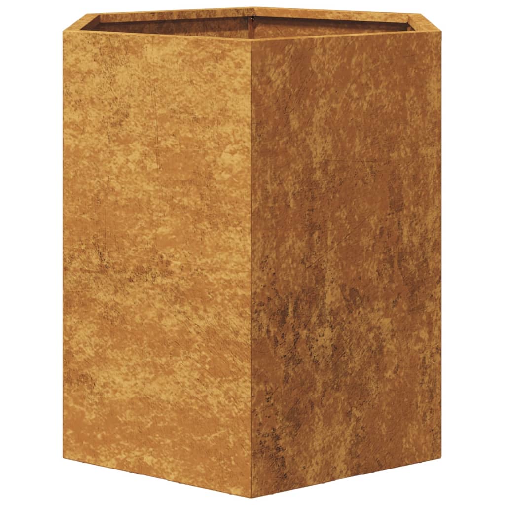 Plantenbakken 2 st zeshoek 46x40x45 cm cortenstaal - AllerleiShop