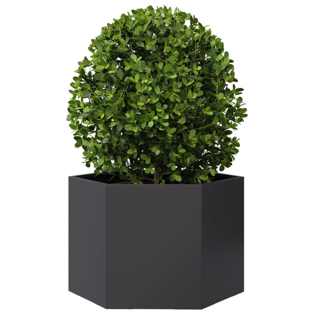 Plantenbak zeshoek 69x60x45 cm staal zwart - AllerleiShop