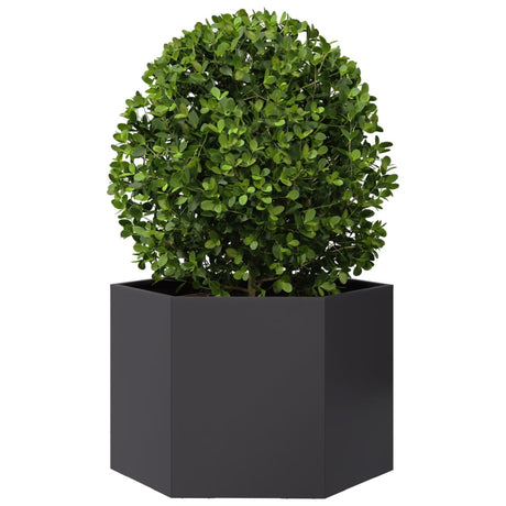 Plantenbak zeshoek 69x60x45 cm staal zwart - AllerleiShop