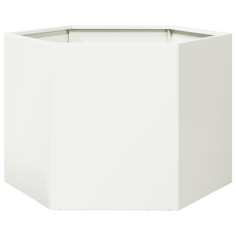 Plantenbak zeshoek 69x60x45 cm staal wit - AllerleiShop