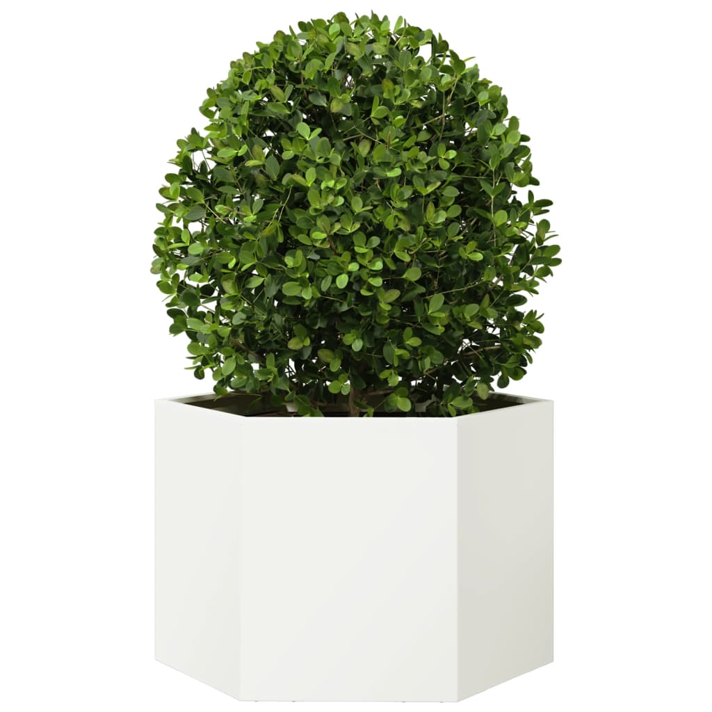 Plantenbak zeshoek 69x60x45 cm staal wit - AllerleiShop