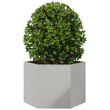 Plantenbak zeshoek 69x60x45 cm roestvrijstaal - AllerleiShop