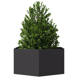 Plantenbak zeshoek 104x90x45 cm staal zwart - AllerleiShop