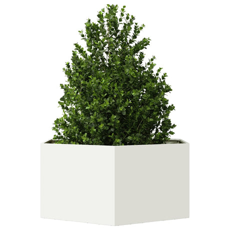 Plantenbak zeshoek 104x90x45 cm staal wit - AllerleiShop