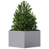 Plantenbak zeshoek 104x90x45 cm gegalvaniseerd staal - AllerleiShop