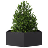 Plantenbak zeshoek 138x120x45 cm staal zwart - AllerleiShop