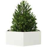 Plantenbak zeshoek 138x120x45 cm staal wit - AllerleiShop