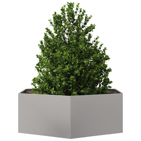 Plantenbak zeshoek 138x120x45 cm roestvrijstaal - AllerleiShop