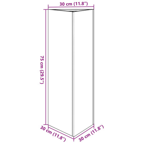 Plantenbak driehoek 30x26x75 cm staal zwart - AllerleiShop