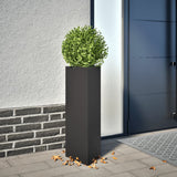 Plantenbak driehoek 30x26x75 cm staal zwart - AllerleiShop