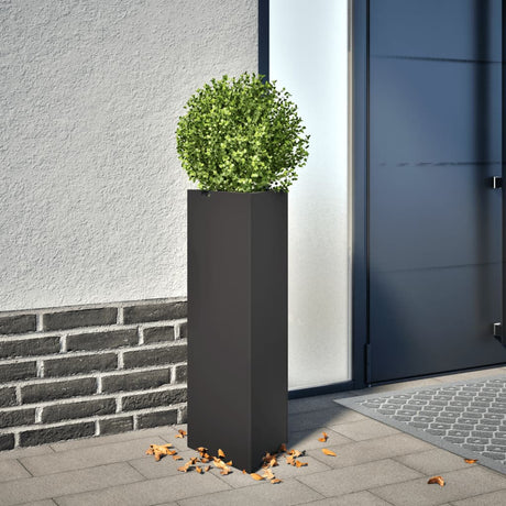 Plantenbak driehoek 30x26x75 cm staal zwart - AllerleiShop