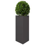 Plantenbak driehoek 40x34,5x70 cm staal zwart - AllerleiShop