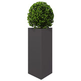 Plantenbakken 2 st driehoek 40x34,5x70 cm staal zwart - AllerleiShop