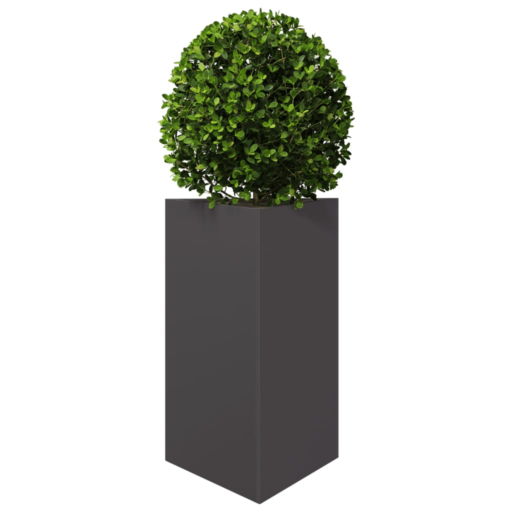 Plantenbak driehoek 50x43x75 cm staal zwart - AllerleiShop