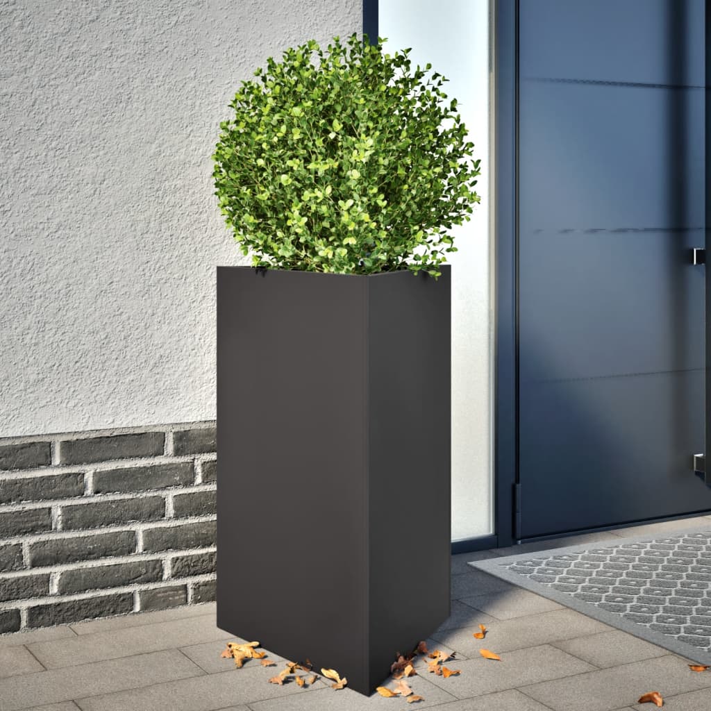 Plantenbak driehoek 50x43x75 cm staal zwart - AllerleiShop