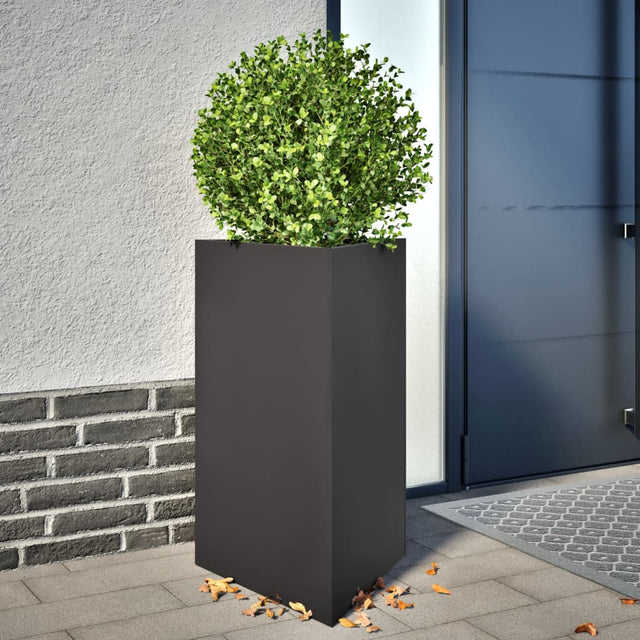 Plantenbakken 2 st driehoek 50x43x75 cm staal zwart - AllerleiShop