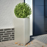 Plantenbak driehoek 50x43x75 cm roestvrij staal - AllerleiShop