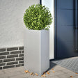 Plantenbakken 2 st driehoek 50x43x75 cm gegalvaniseerd staal - AllerleiShop