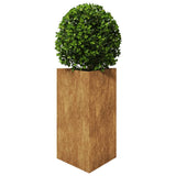 Plantenbak driehoek 50x43x75 cm cortenstaal - AllerleiShop