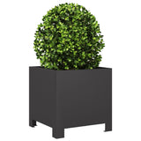 Plantenbak 30x30x30 cm staal zwart - AllerleiShop