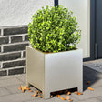 Plantenbak 30x30x30 cm roestvrij staal - AllerleiShop