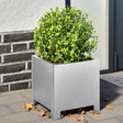 Plantenbak 30x30x30 cm gegalvaniseerd staal - AllerleiShop