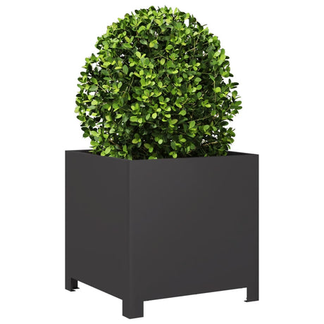 Plantenbak 40x40x40 cm staal zwart - AllerleiShop