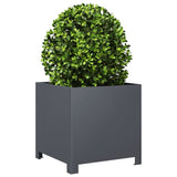 Plantenbak 40x40x40 cm staal antracietkleurig - AllerleiShop