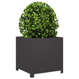 Plantenbak 50x50x50 cm staal zwart - AllerleiShop