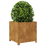 Plantenbak 50x50x50 cm cortenstaal - AllerleiShop