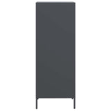 Hoge kast 35x39x103,5 cm staal antracietkleurig - AllerleiShop