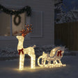 Kerstdecoratie rendier en slee 100 LED's koudwit - AllerleiShop