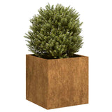 Plantenbak roestig 40x40x40 cm weervast staal