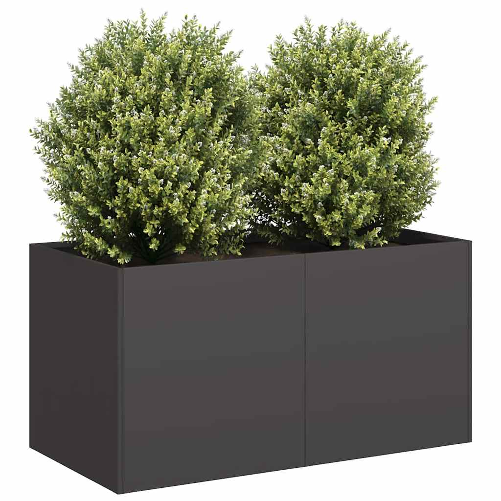 Plantenbak 80x40x40 cm koudgewalst staal zwart