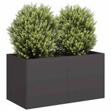 Plantenbak 80x40x40 cm koudgewalst staal zwart