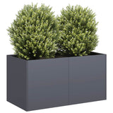 Plantenbak 80x40x40 cm koudgewalst staal antracietkleurig