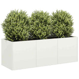 Plantenbak 120x40x40 cm koudgewalst staal wit