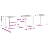 Plantenbak 200x40x40 cm roestvrij staal