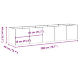 Plantenbak 200x40x40 cm gegalvaniseerd staal