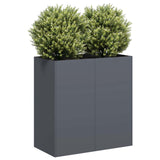 Plantenbak 80x40x80 cm koudgewalst staal antracietkleurig