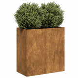 Plantenbak roestig 80x40x80 cm weervast staal