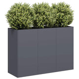 Plantenbak 120x40x80 cm koudgewalst staal antracietkleurig