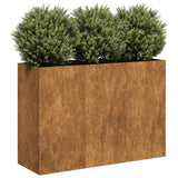 Plantenbak roestig 120x40x80 cm weervast staal