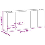 Plantenbak 200x40x80 cm roestvrij staal