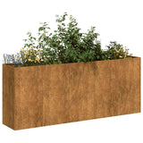 Plantenbak roestig 200x40x80 cm weervast staal