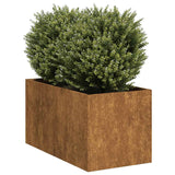 Plantenbak roestig 40x80x40 cm weervast staal